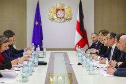 Dimitry Kumsishvili Met with EC Director General of Transport and Mobility Henrik Hollolei