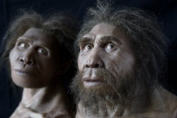 Meet Your Hominid Ancestors In Georgia