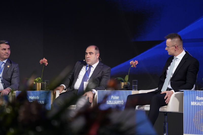 Energy Diversification - A Way Towards Energy Security